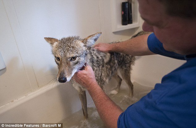 bath time