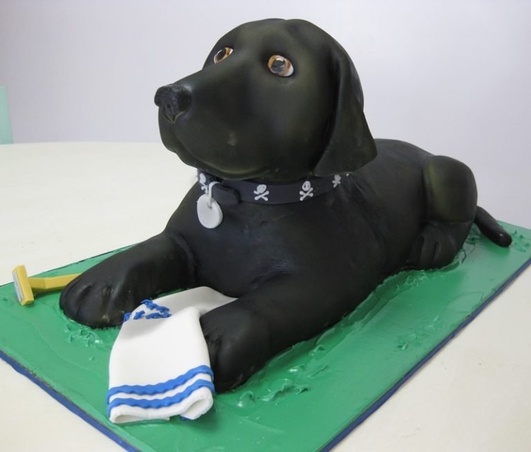 Dog Cakes Ideas - Black Lab 