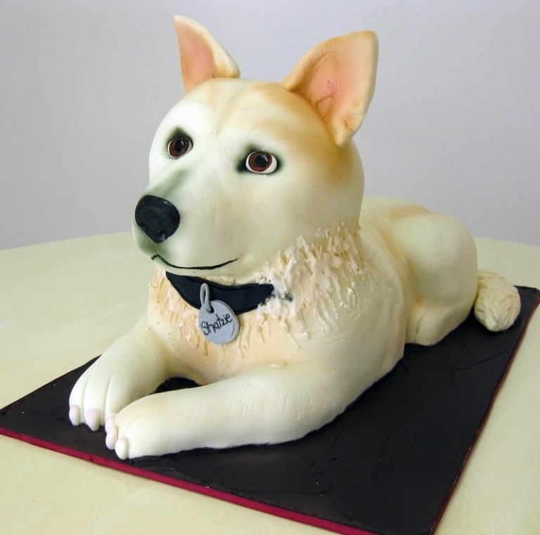 Dog Cakes 