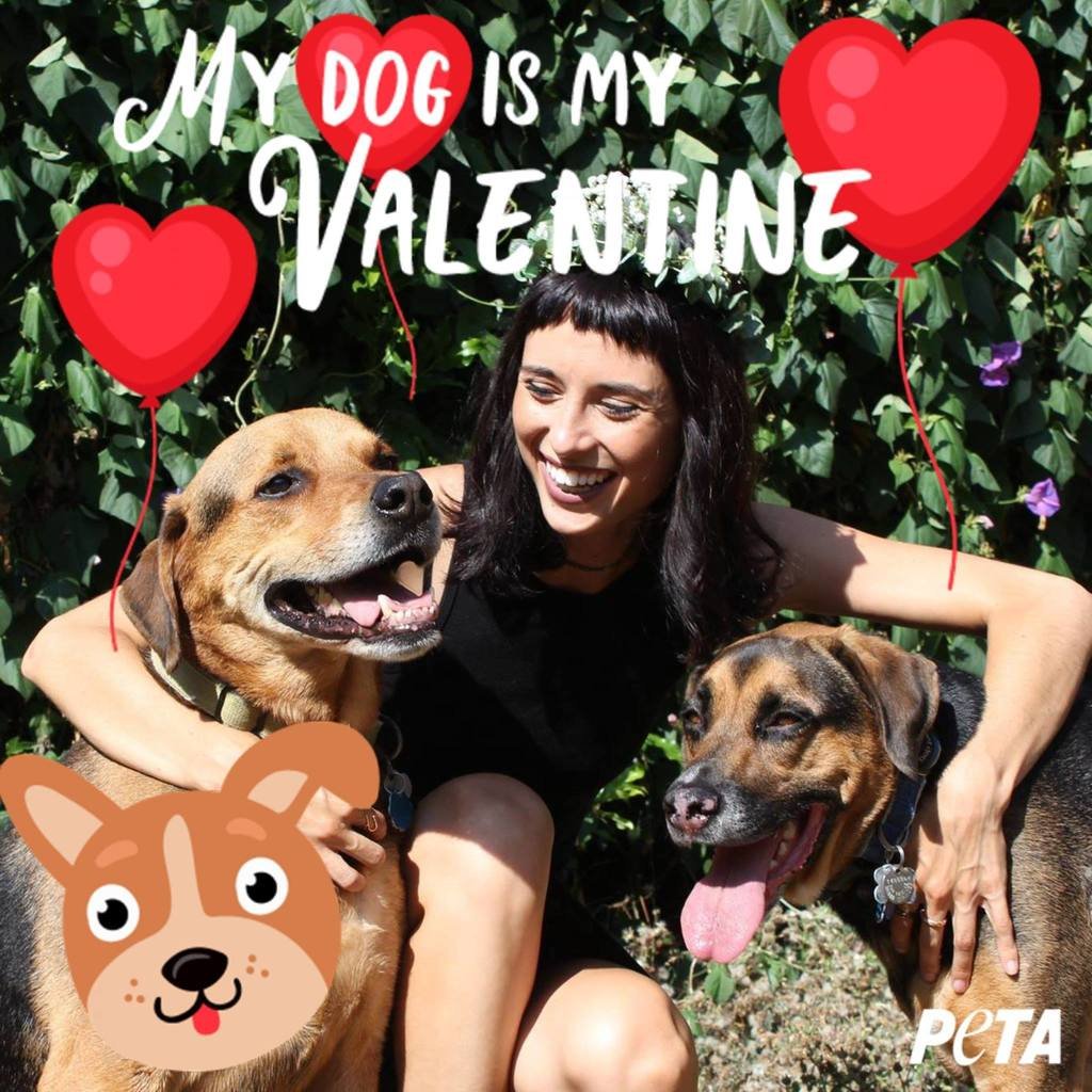 My Dog Is My Valentine