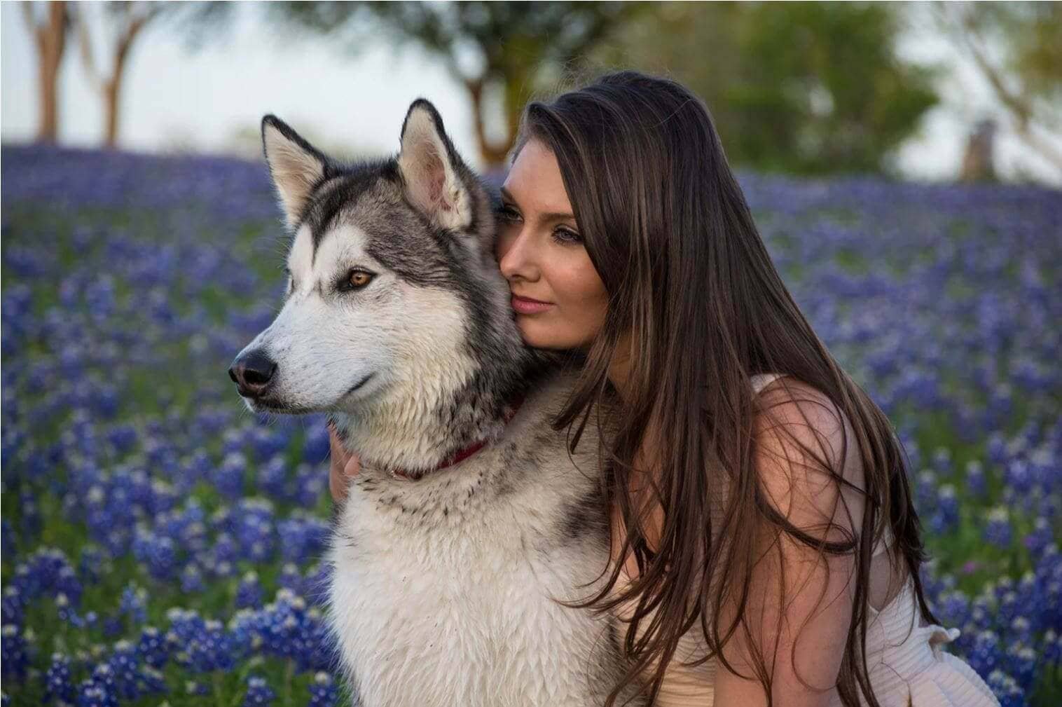 Your Husky Is Your Soulmate