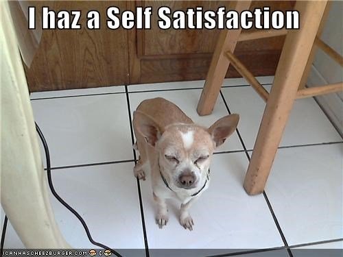 Self-satisfied dogs