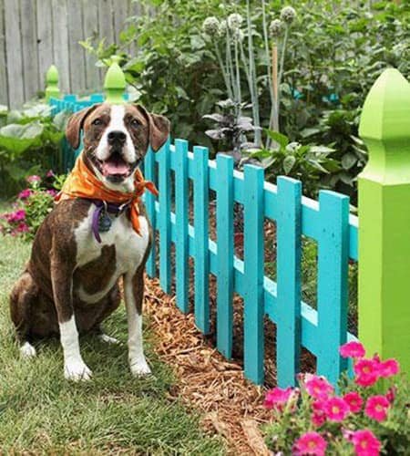 Dogs who just don't understand fences