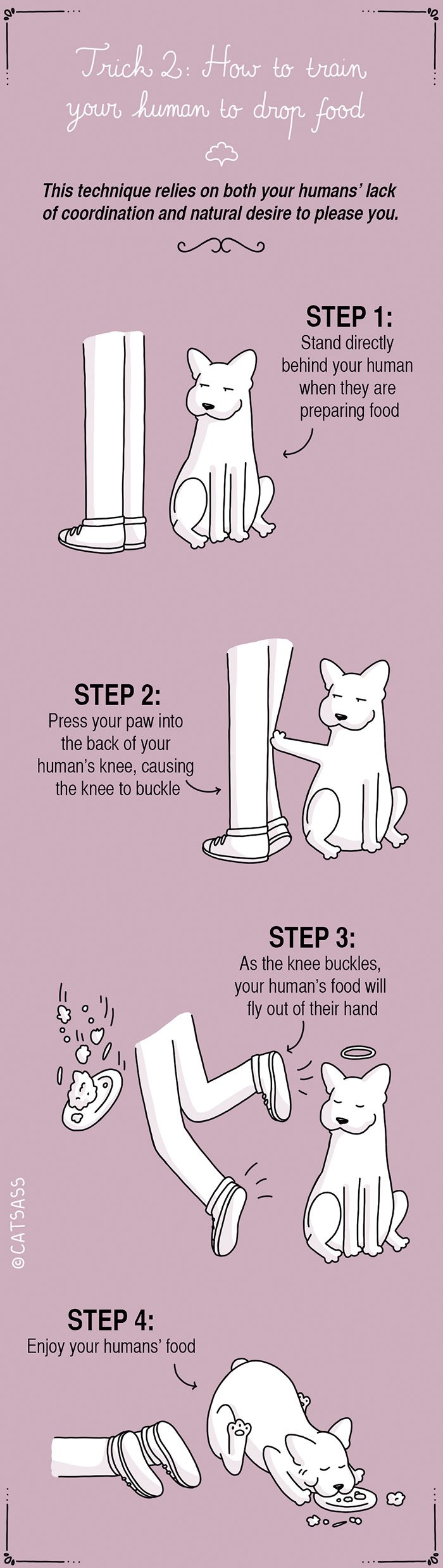 Tricks that your dogs use