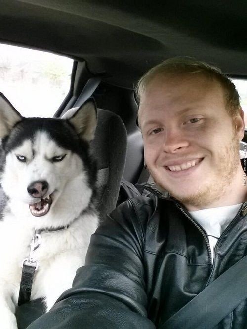 husky and owner