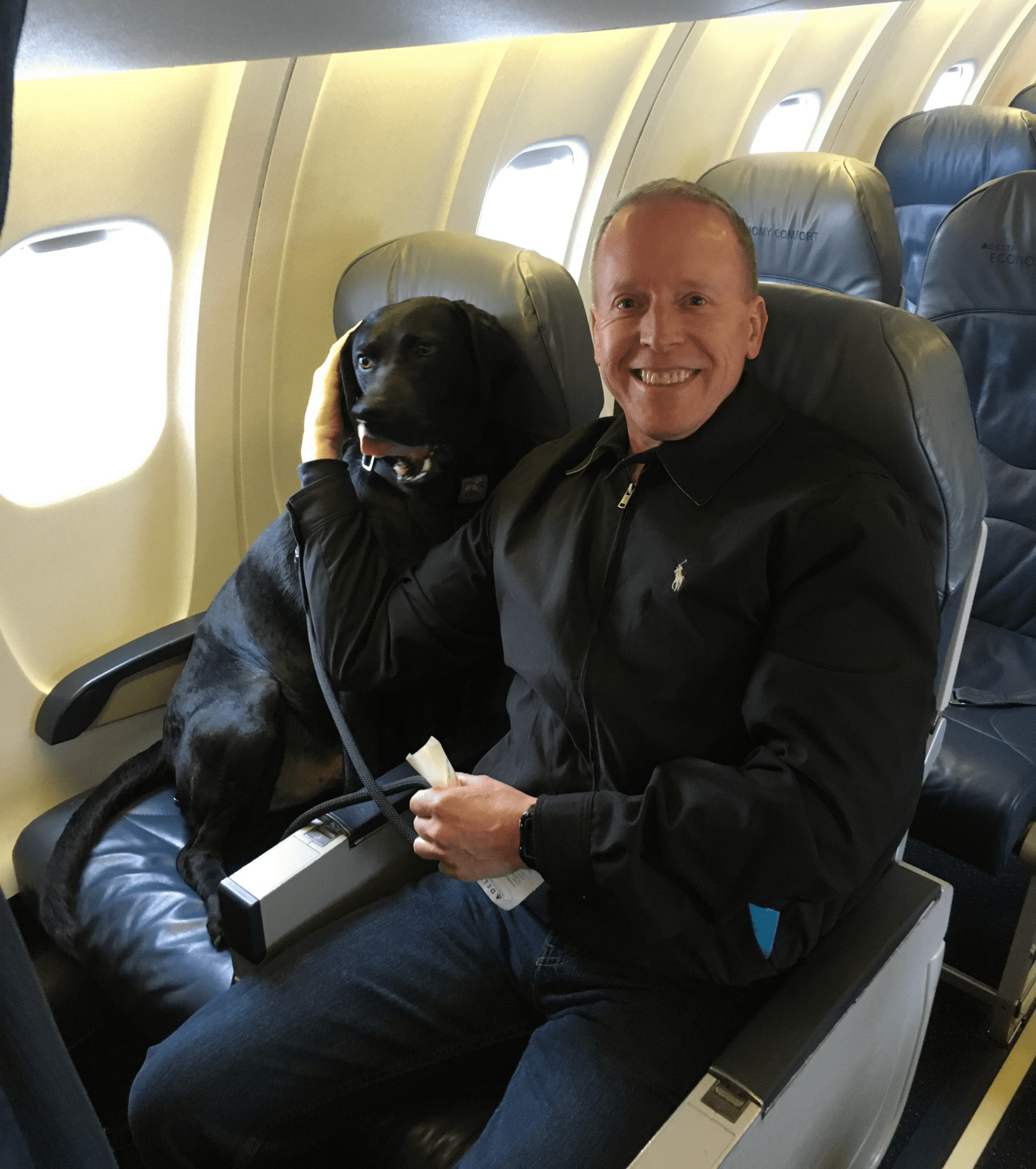 Dogs On Plane Enjoying Their Flight