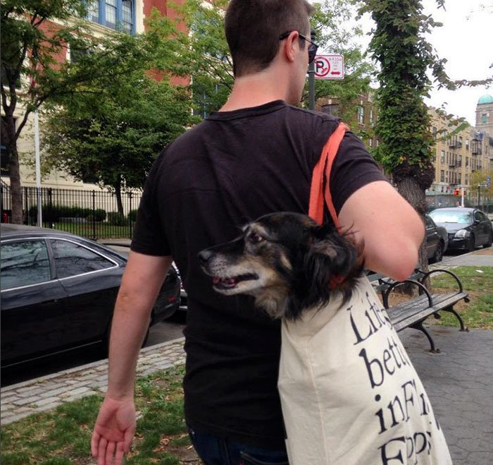 Guy Carried His dog