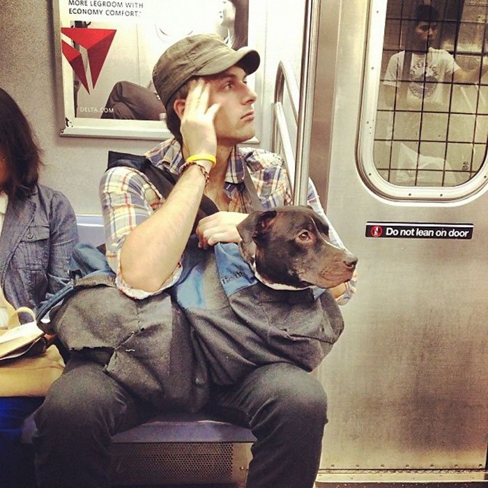 Guy Carried His dog in a bag