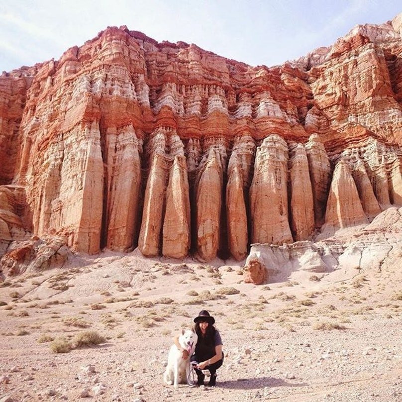 Man And His Husky Visit Canyons