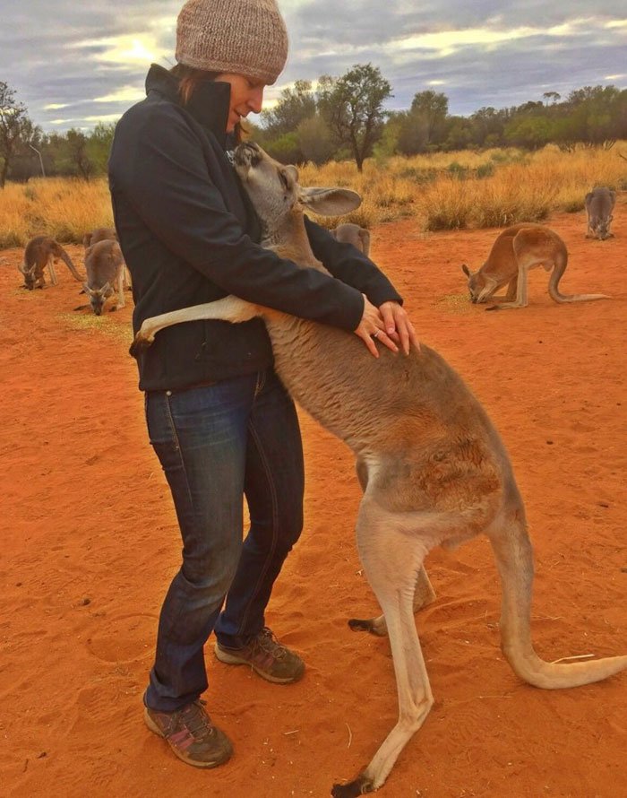 Abigail the hugging kangaroo