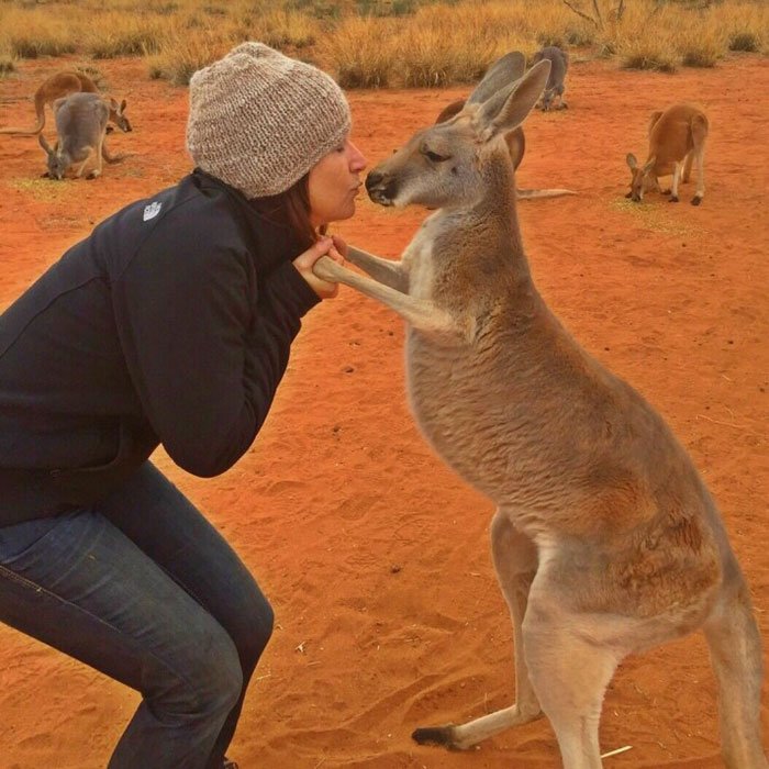 Australia rescuers 