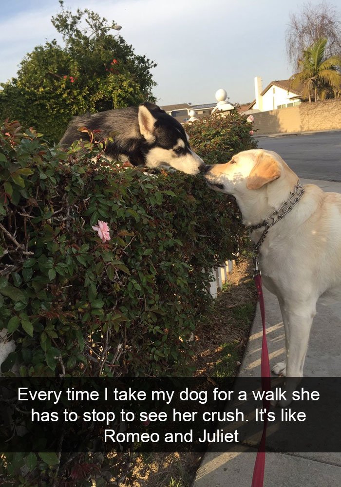 Hilarious Posts