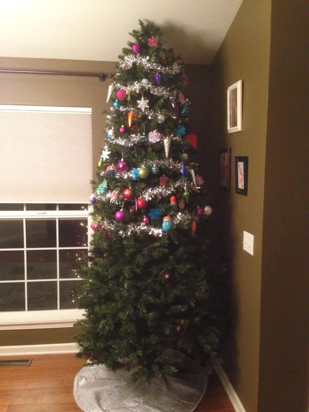 Animal Owners Protecting Christmas Tree