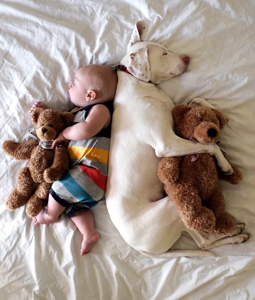 Elizabeth photographs them cuddling with soft toys, showing that Nora is really just a baby at heart