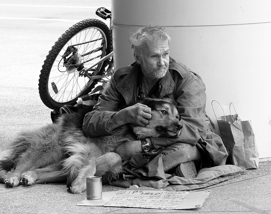 Homeless People And Dogs