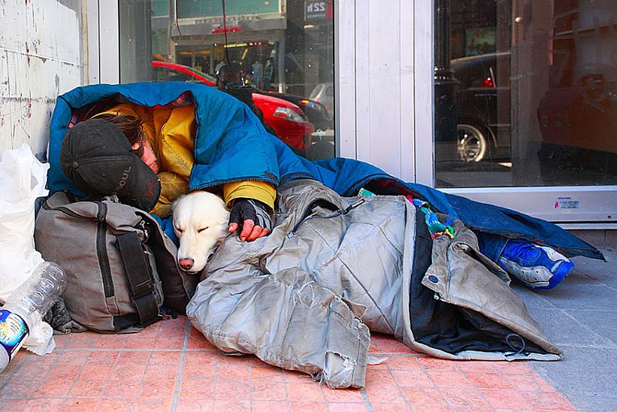 Homeless People And Dogs