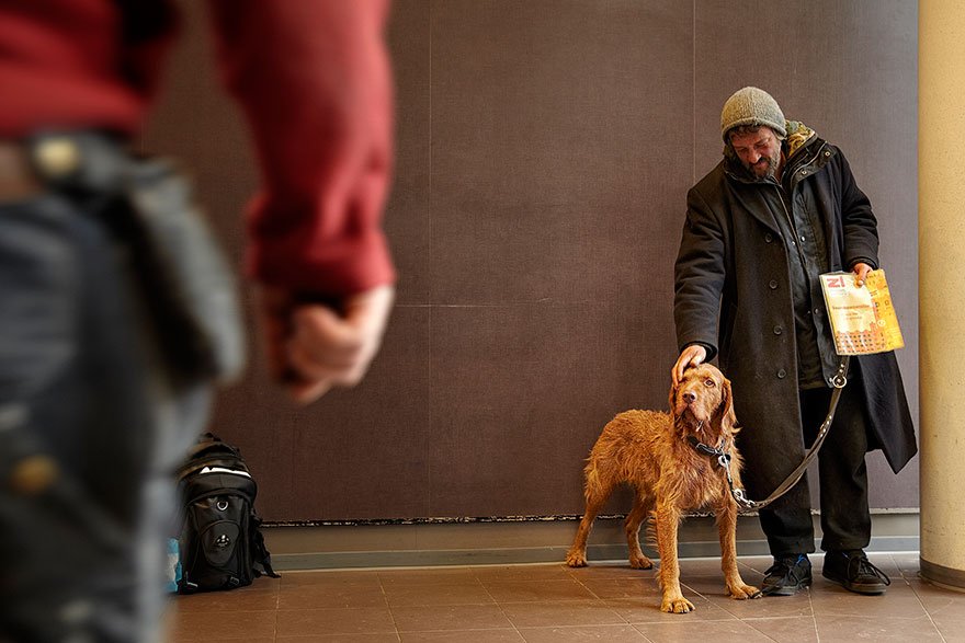 Homeless People And Dogs