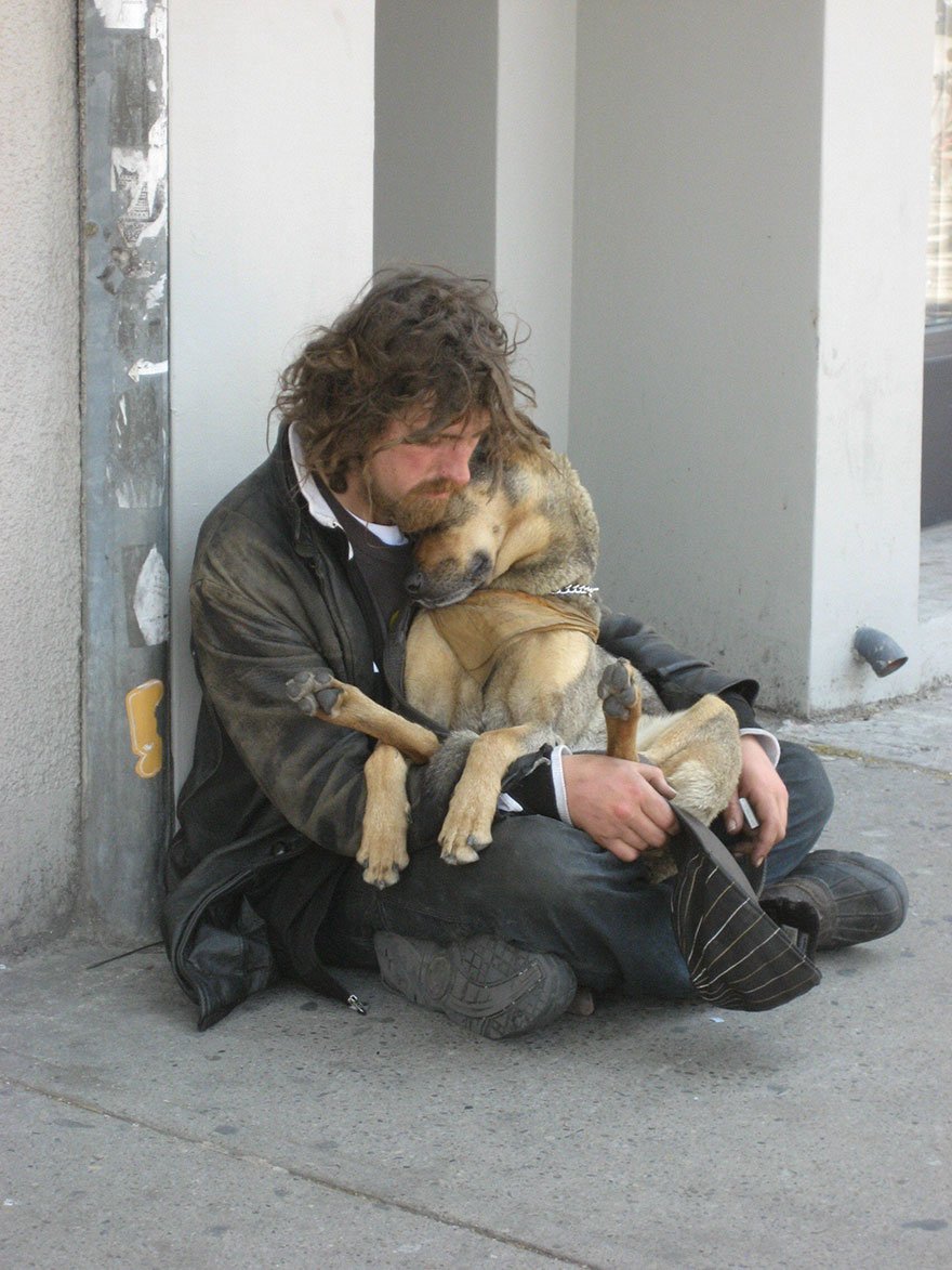 Homeless People And Dogs