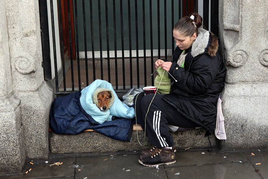 Homeless People And Dogs