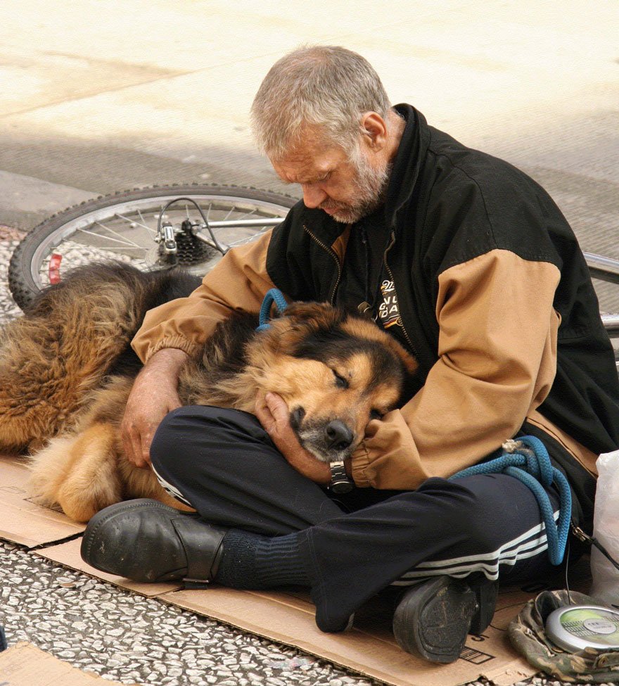 Homeless People And Dogs