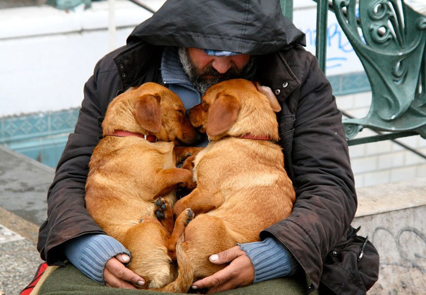 Homeless People And Dogs