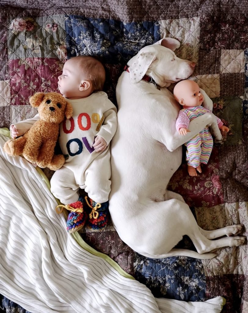 This picture of Archie with a doggie plush and Nora with a toy baby is our favorite!