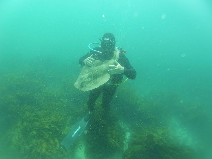 Anderson Dives Gets Cuddles From His Shark 