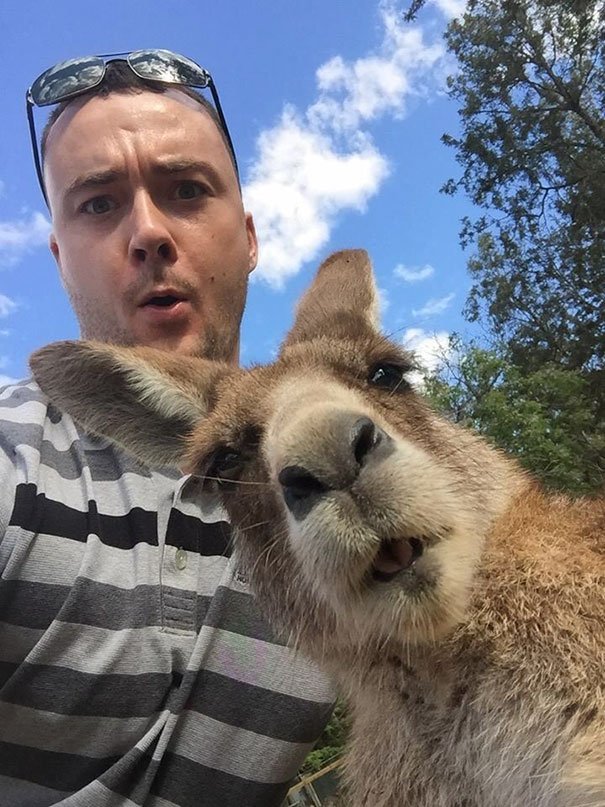 Selifie with Kangaroo