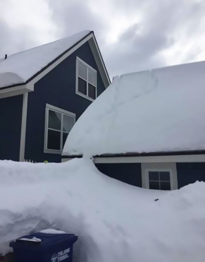 Turn’s out, they used the snow to climb up and decided to take a nap