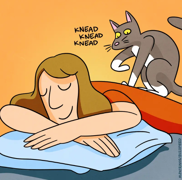 Practical Uses For Cats