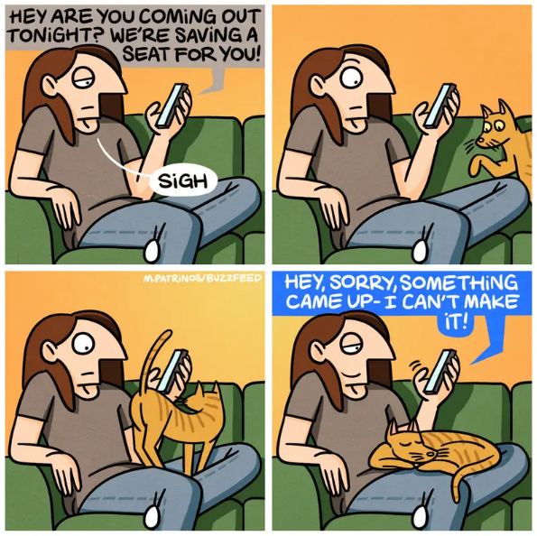 An excuse not to socialize