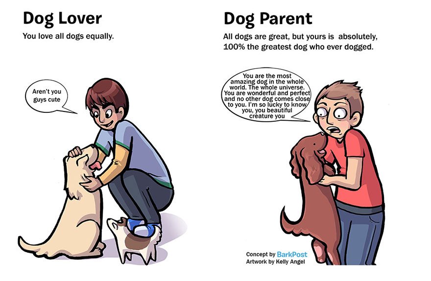 Dog Lovers vs Dog Parents