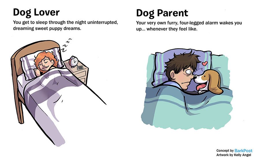 Dog Lovers vs Dog Parents