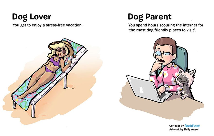 Differences Between Dog Lovers And Dog Parents