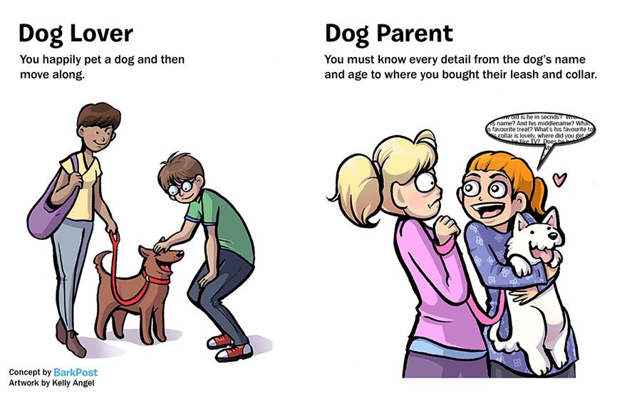 Differences Between Dog Lovers And Dog Parents