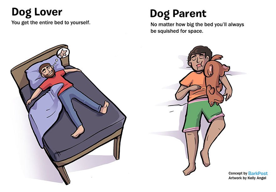 Dog Lovers vs Dog Parents