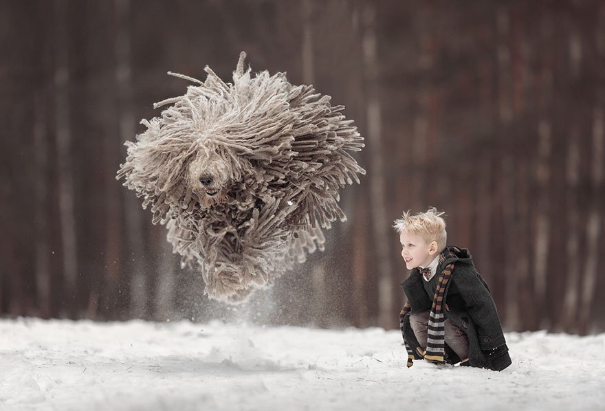 Giant Furry Dog Playing With A Kid