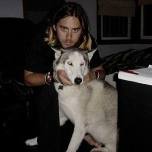 Jared Leto Actor with his husky - Celebrities Who Own A Husky