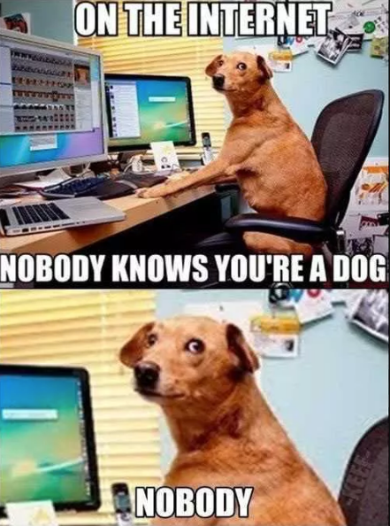 Dog On the internet 