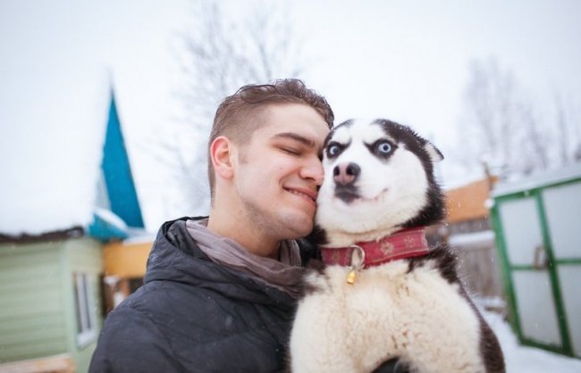 Golden Rules For Life As Told by Husky Dogs