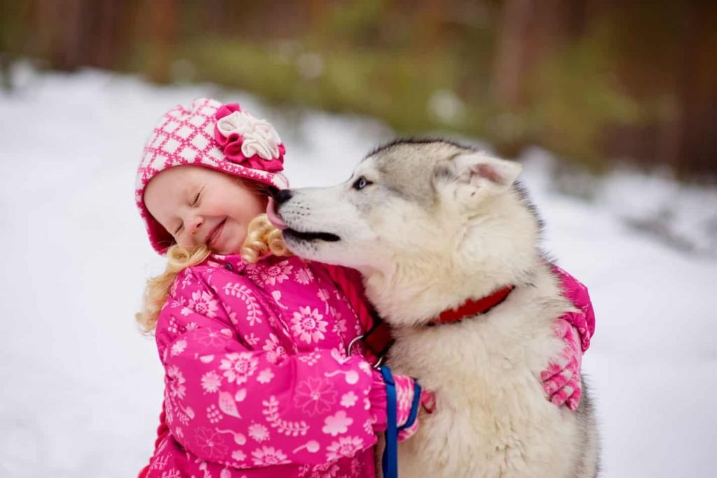 Husky and baby