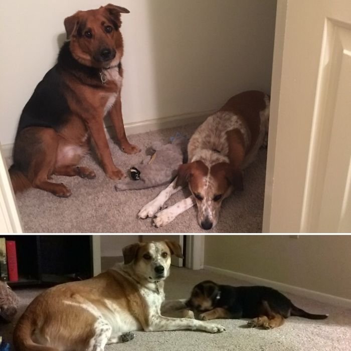 best friends then and now