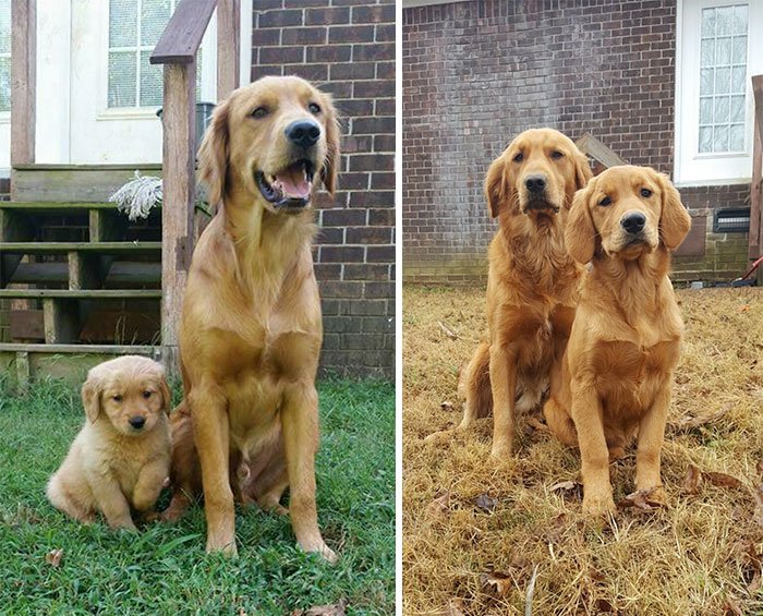 best friends then and now