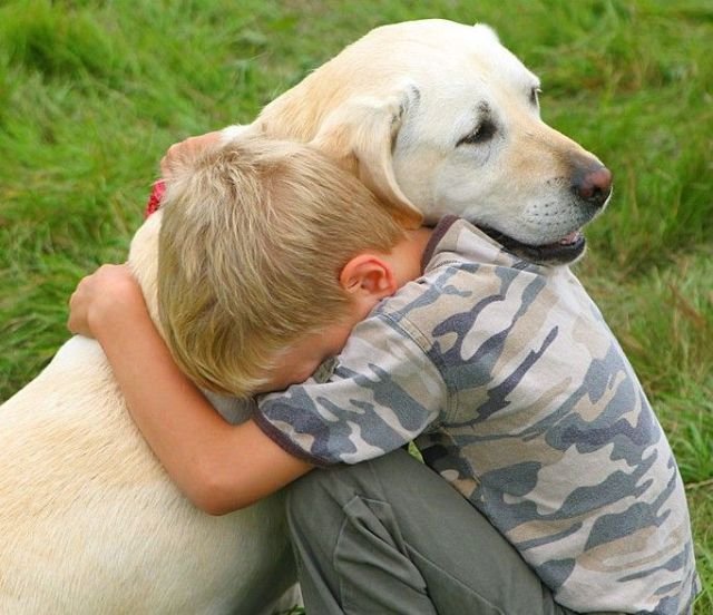 10 Reasons why dog love us