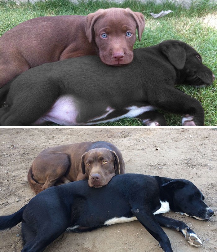 best friends then and now