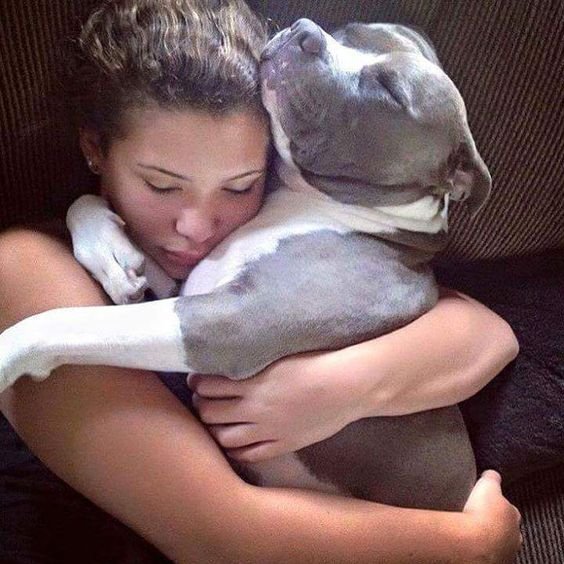 Dogs Hugging Their Humans