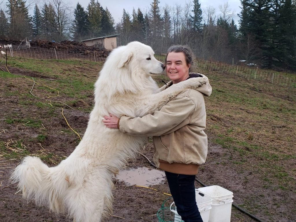 Dogs Hugging Their Humans