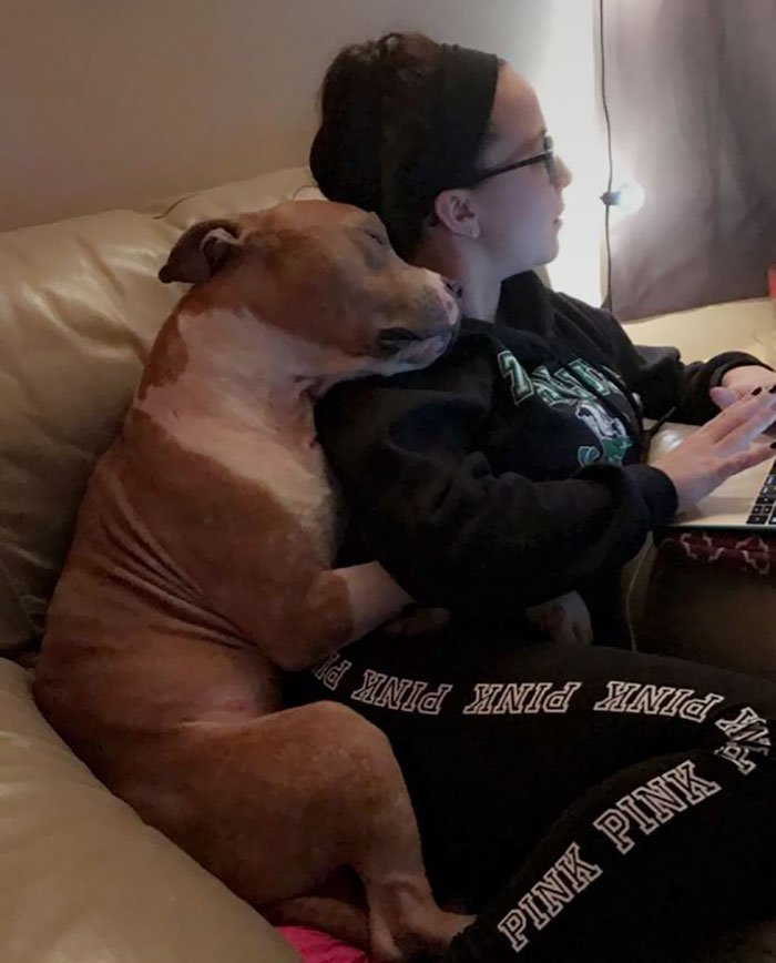 Dogs Hugging Their Humans