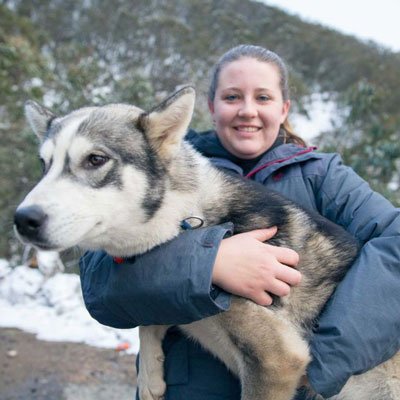 A Study Demonstrated That Husky Owners Care More About Their Dogs Than Themselves