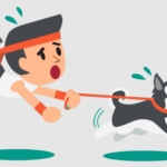 10 Most Effective Ways To Calm A Siberian Husky